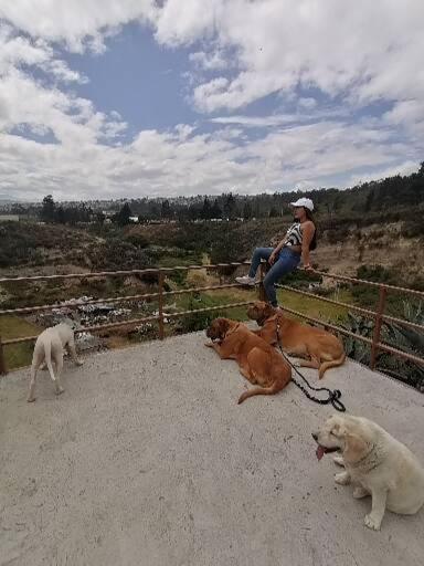 Fakali Homestay Quito Zewnętrze zdjęcie